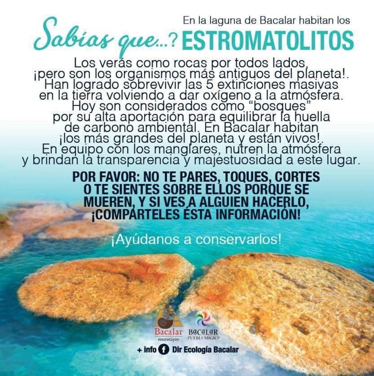 Casa Villa Real- Lagoon Acces And Stunning Views! Bacalar Exteriör bild